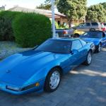 cambria2012_0148 (November 03, 2012)